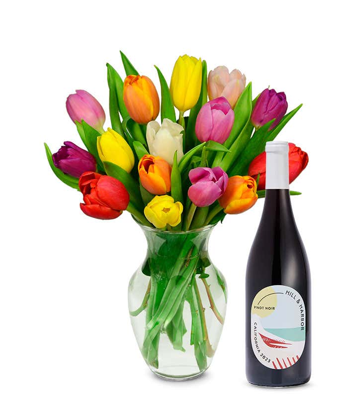 Rainbow Tulip Bouquet with Red Wine