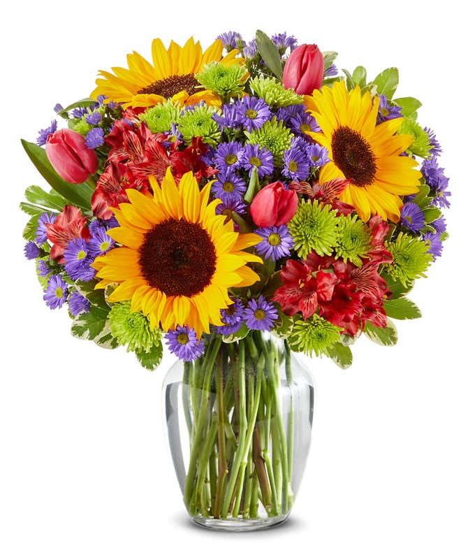 A vibrant arrangement featuring sunflowers, pink tulips, red alstroemeria, purple Monte Casino asters, and green poms, optionally arranged in a glass vase. This lively mix offers a bright and cheerful display.