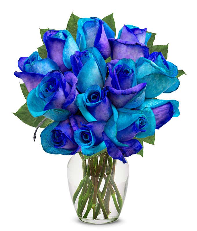 A bouquet of vivid blue and purple roses with green leaves arranged in a clear glass vase.
