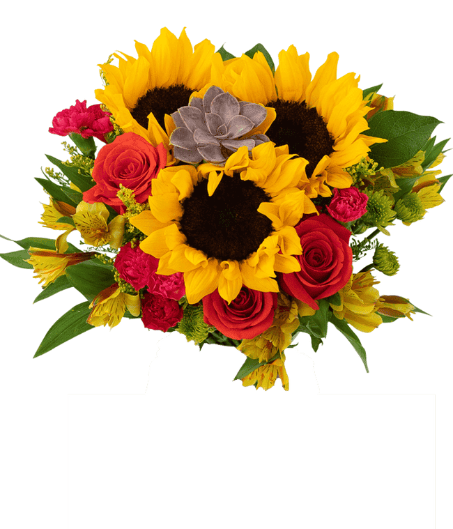 Partial image of Autumn Succulent Bouquet with Sunflowers without vase.