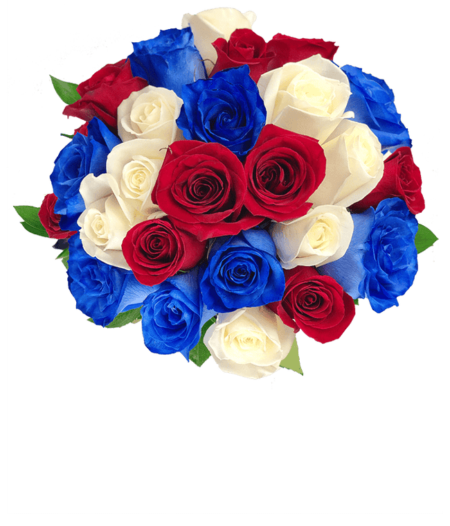 Partial image of Two Dozen Red White &amp; Blue Roses without vase.