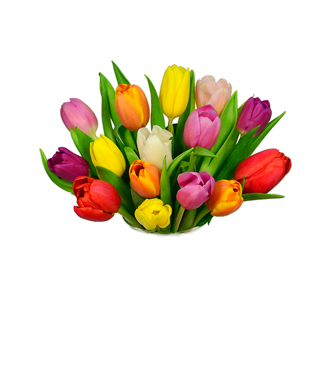 Partial image of A delightful arrangement of seasonal tulips in a variety of colors, offering a fresh and vibrant display. These beautiful tulips bring a burst of color and cheer to any setting. without vase.