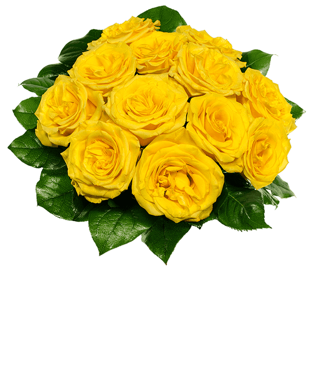 Partial image of one dozen yellow roses for delivery  without vase.