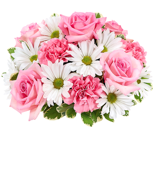 Partial image of Floral arrangement featuring pink roses, white daisies, and pink carnations, optionally in a vase. without vase.