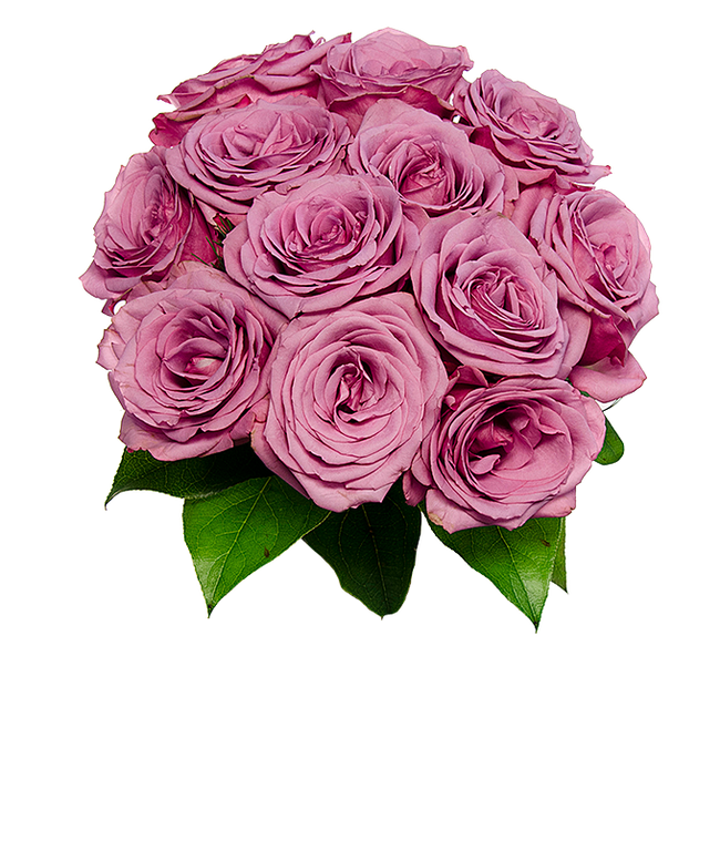 Partial image of Mother's Day purple roses without vase.