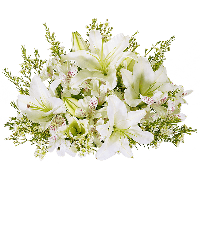 Partial image of White lilies, white alstroemeria and white wax flowers without vase.