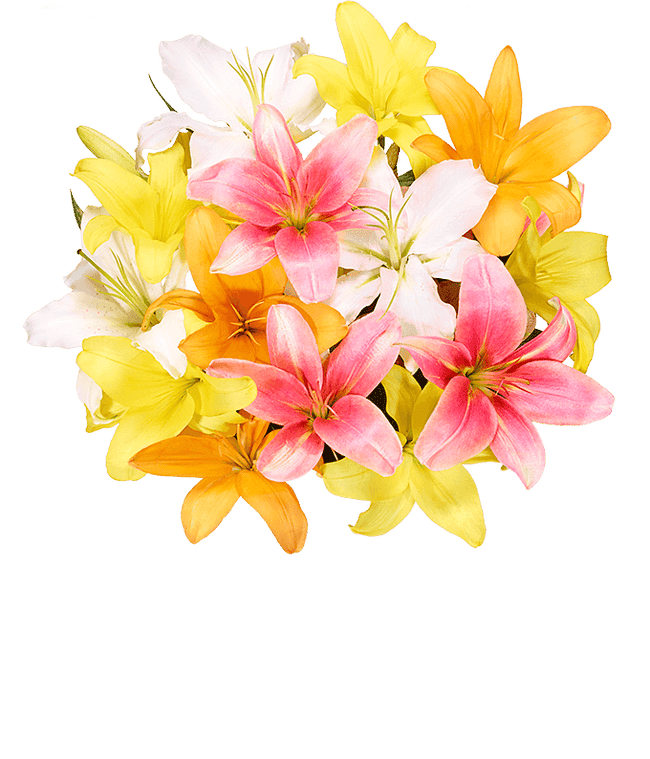 Partial image of A vibrant floral arrangement featuring pink lilies, orange lilies, and yellow lilies. without vase.