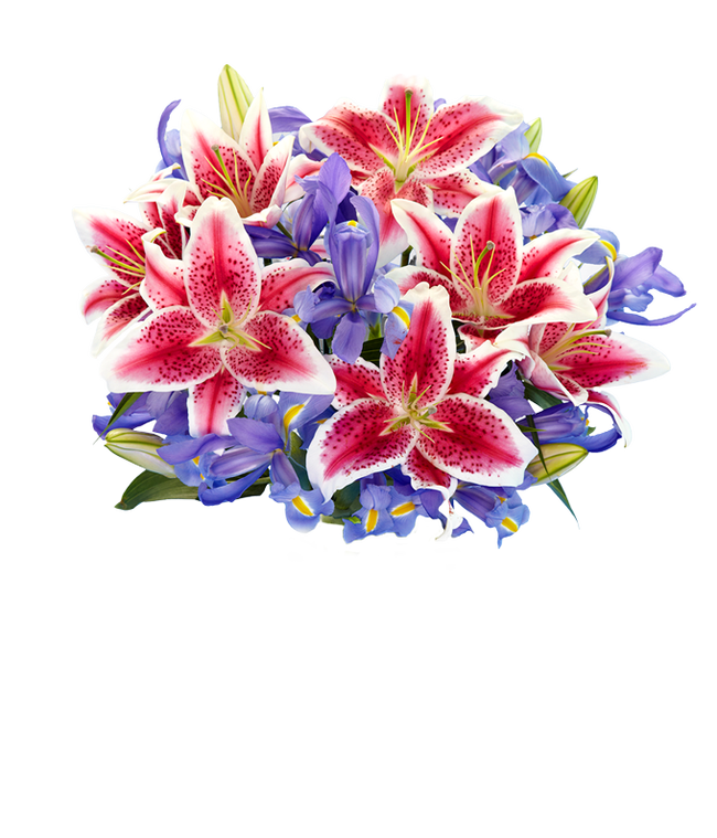 Partial image of A bouquet of Iris &amp; Stargazer Lilies in a Glass Vase without vase.