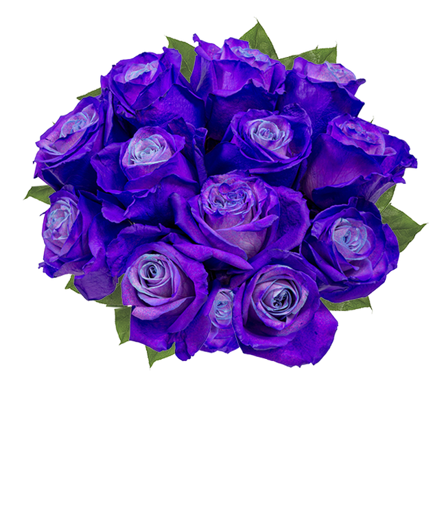 Partial image of One dozen deep purple dyed roses with optional clear vase. without vase.