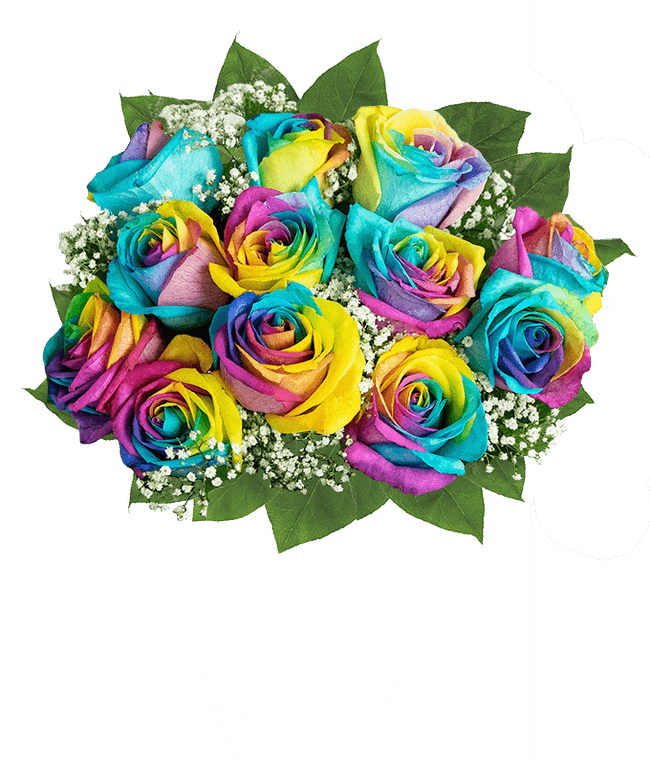 Partial image of A colorful bouquet of rainbow roses in a clear glass vase, with petals in vibrant hues of blue, yellow, pink, and purple, accented by baby's breath and green leaves, creating a bright and cheerful display. without vase.